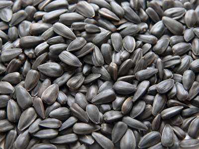 sunflower-seeds.jpg